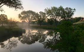 Paw Paw Park 6