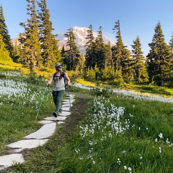 Mount Rainier National Park 6