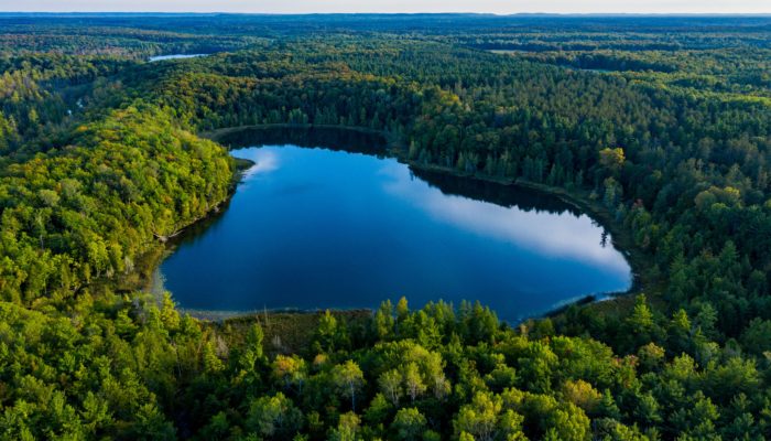 Lower Woodcock Lake Nature Preserve4