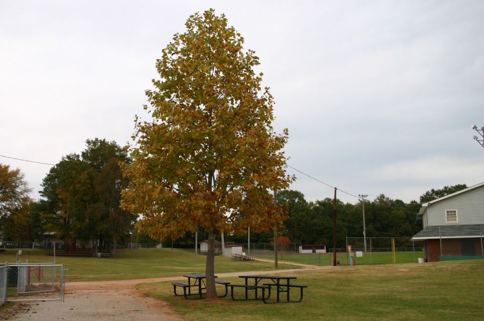 Warrior Park2