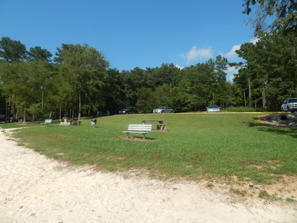 AnyConv.com__Bear Creek Development Authority12