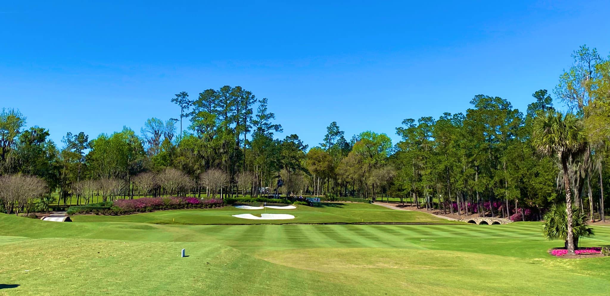 Golden Ocala Golf and Equestrian Club9