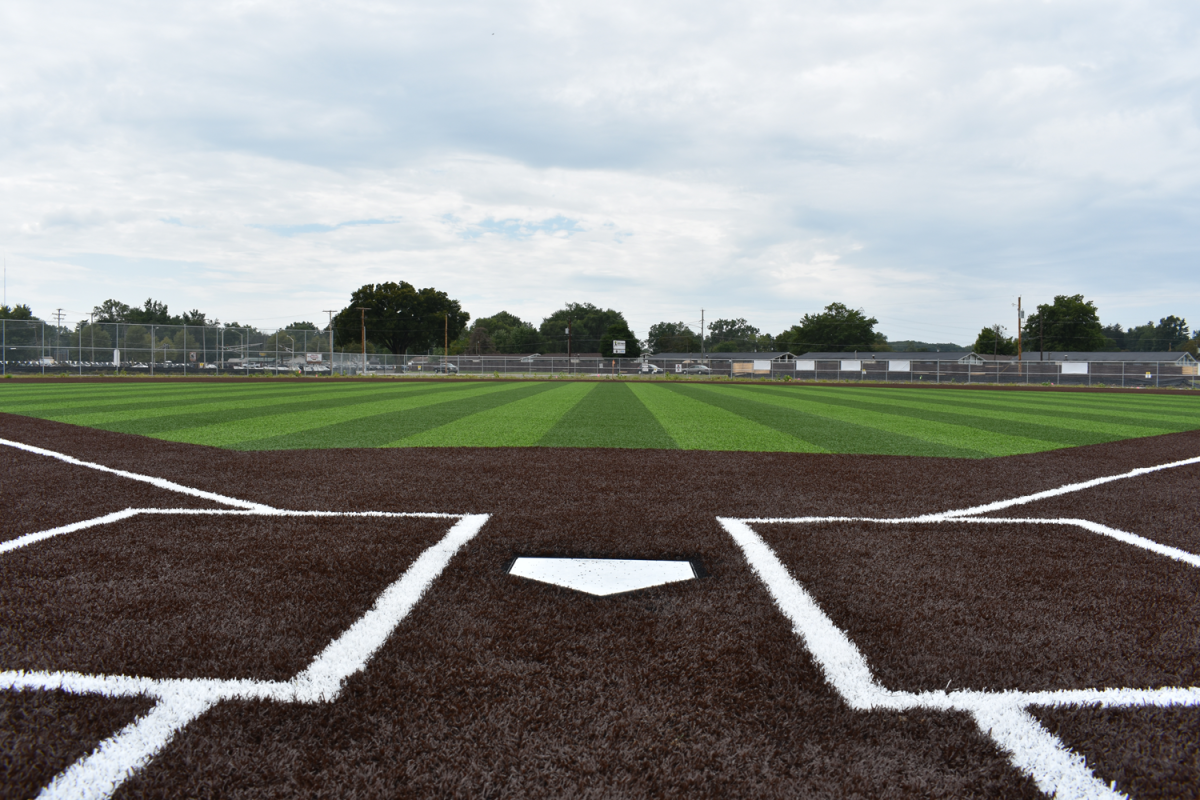 ash turf diamond