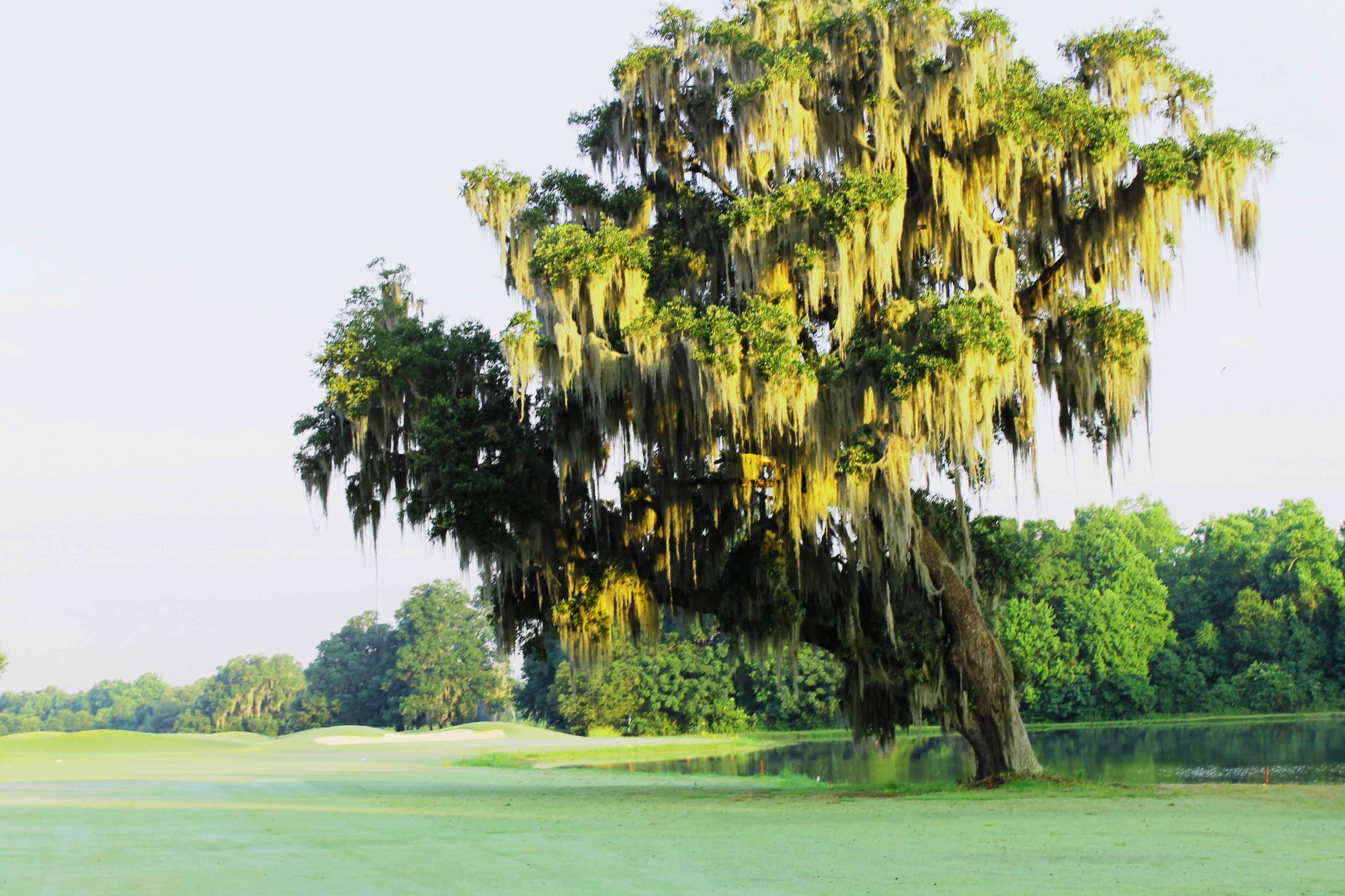 Stone Creek Golf Club6