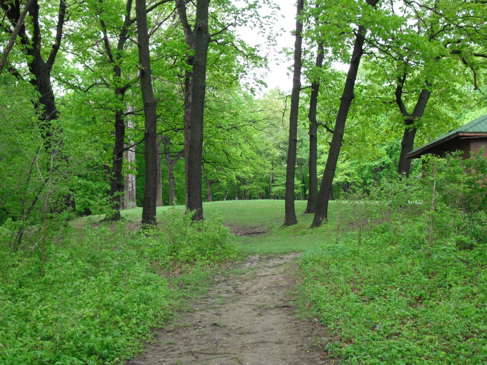 Shaver Park 5