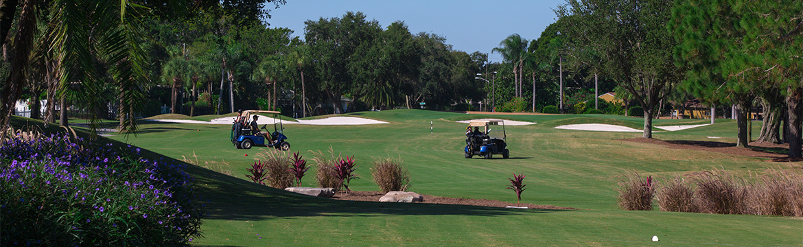 Vinoy Club 1
