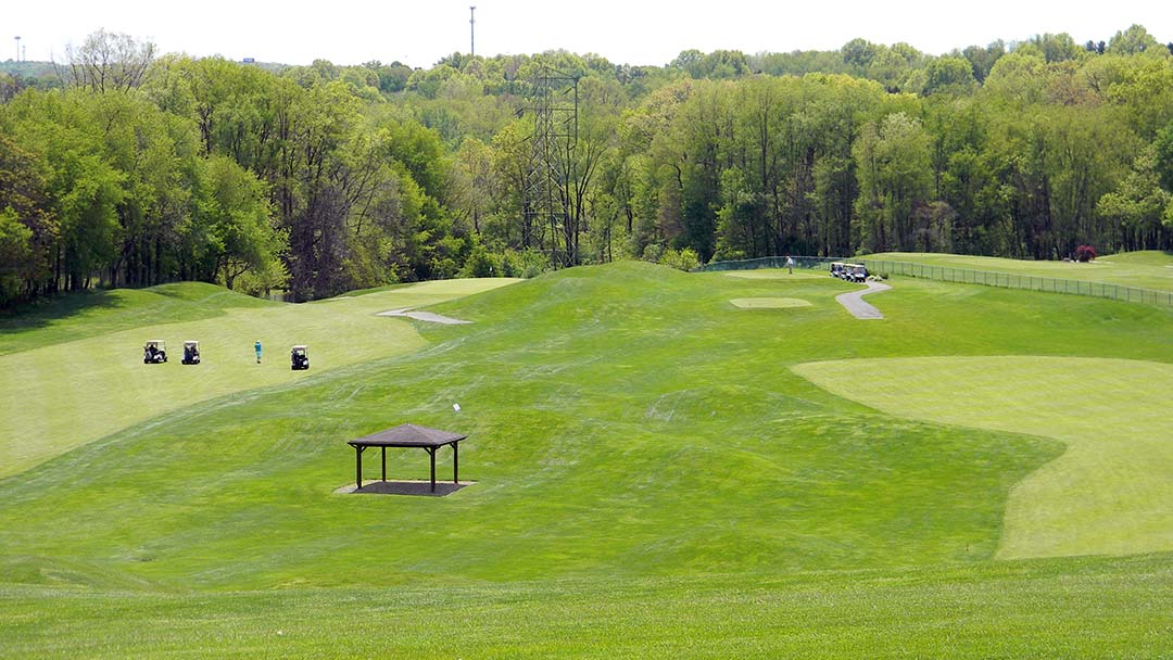 raymond c firestone golf.jpeg