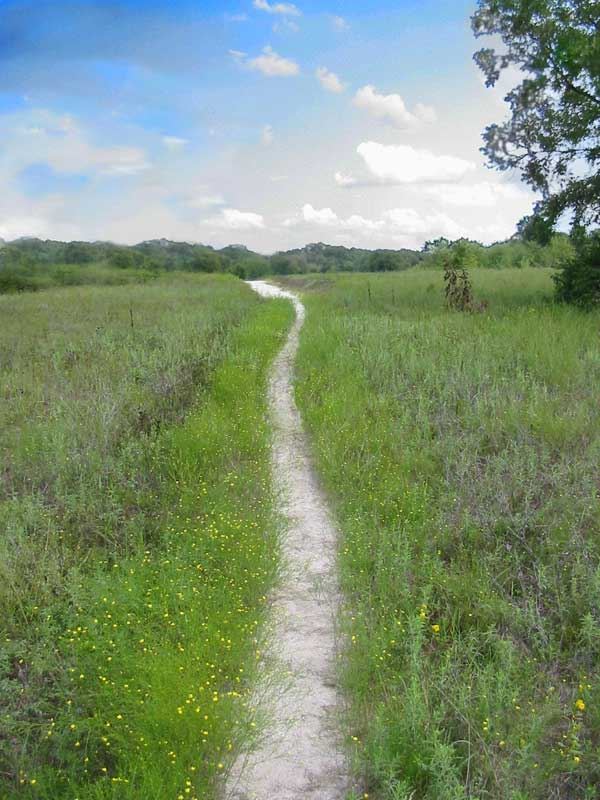 spring_creek_park_photo