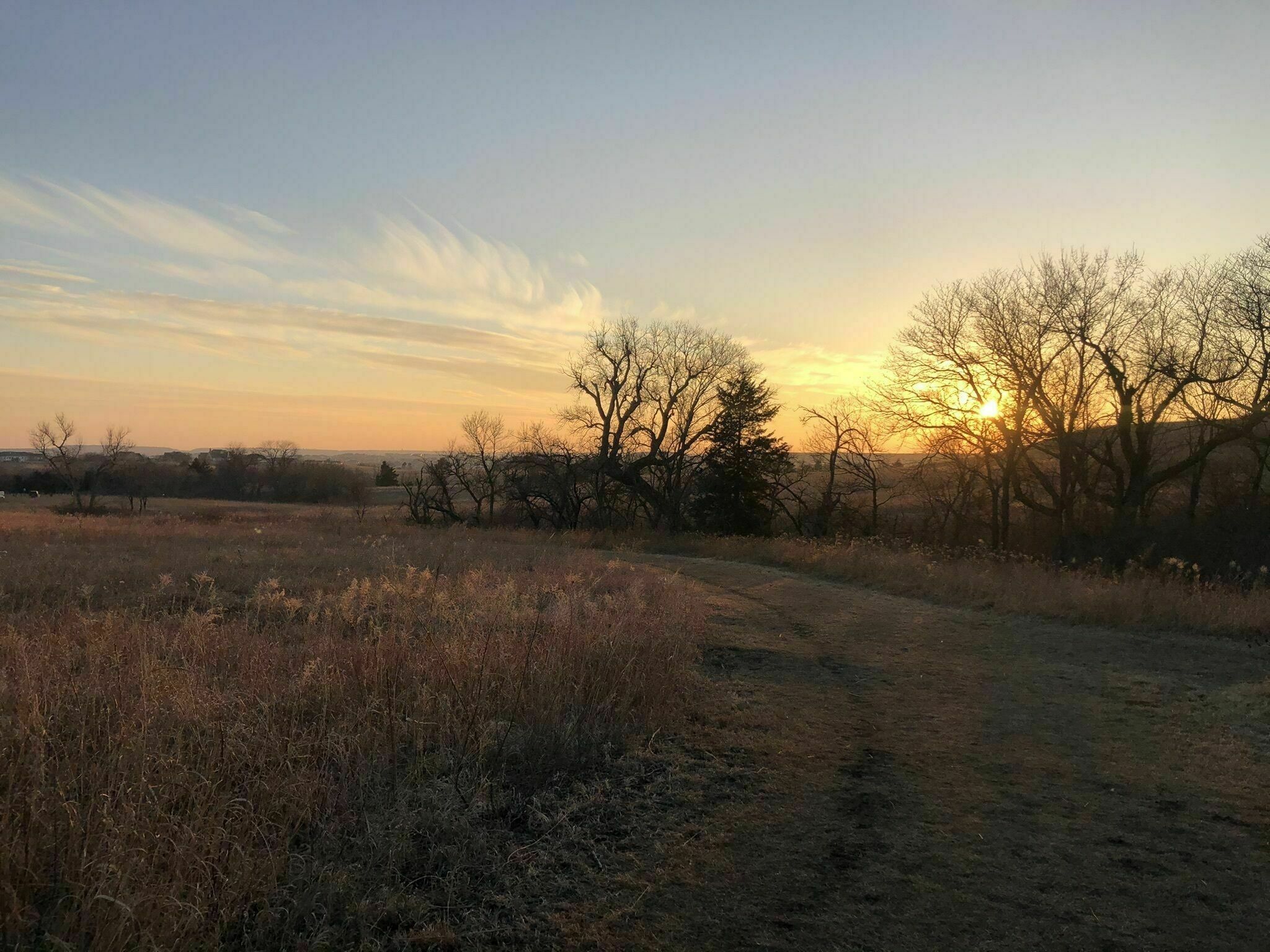 Washington Marlatt Park Trails 4