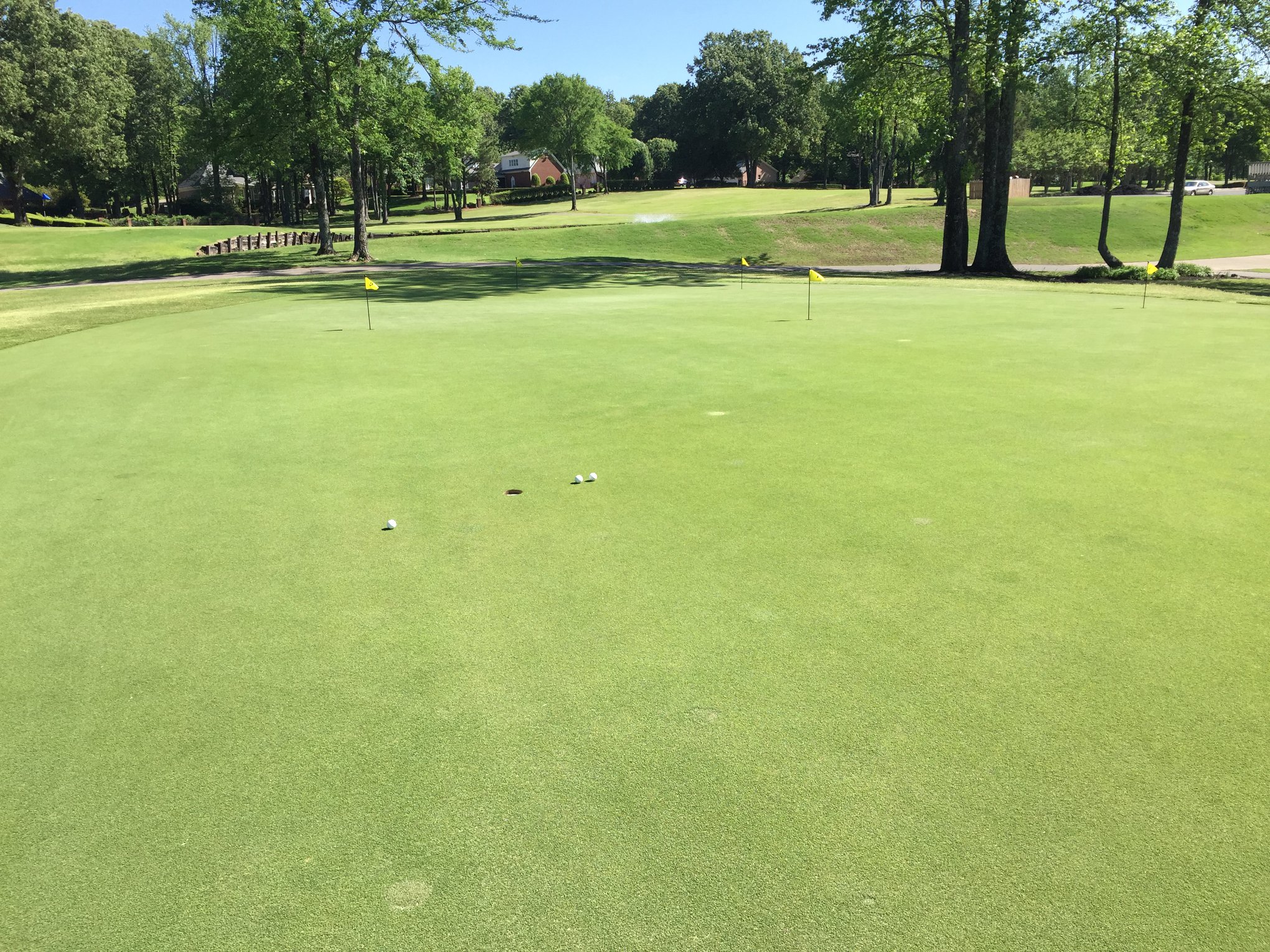 Wedgewood Golf Club2