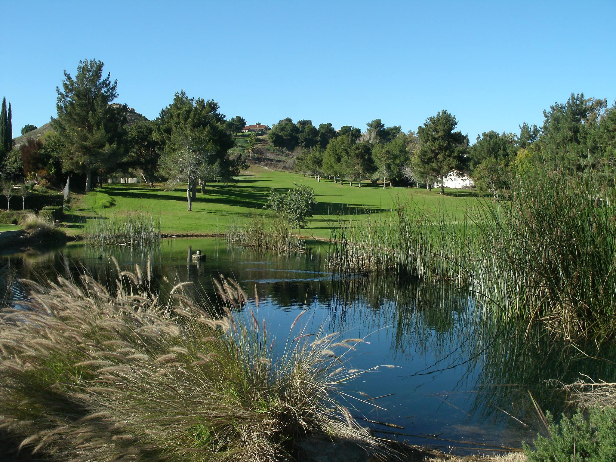Indian Hills Golf Club 4
