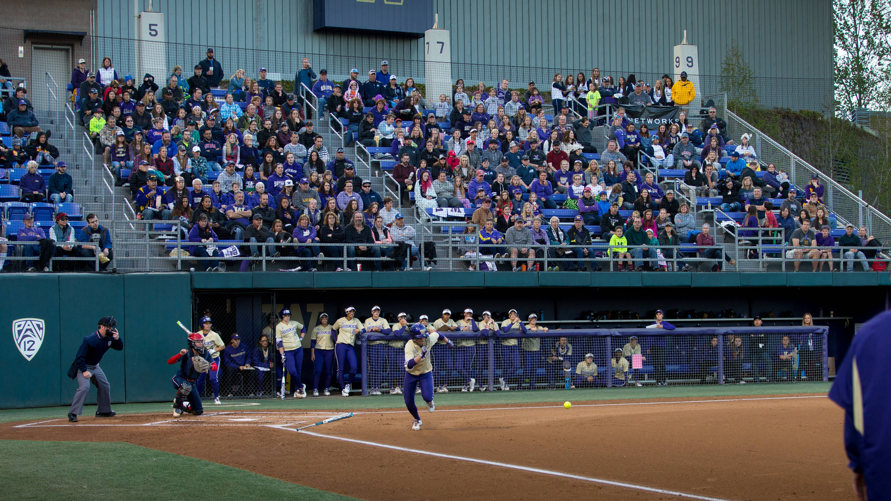 Husky Softball Stadium (1)