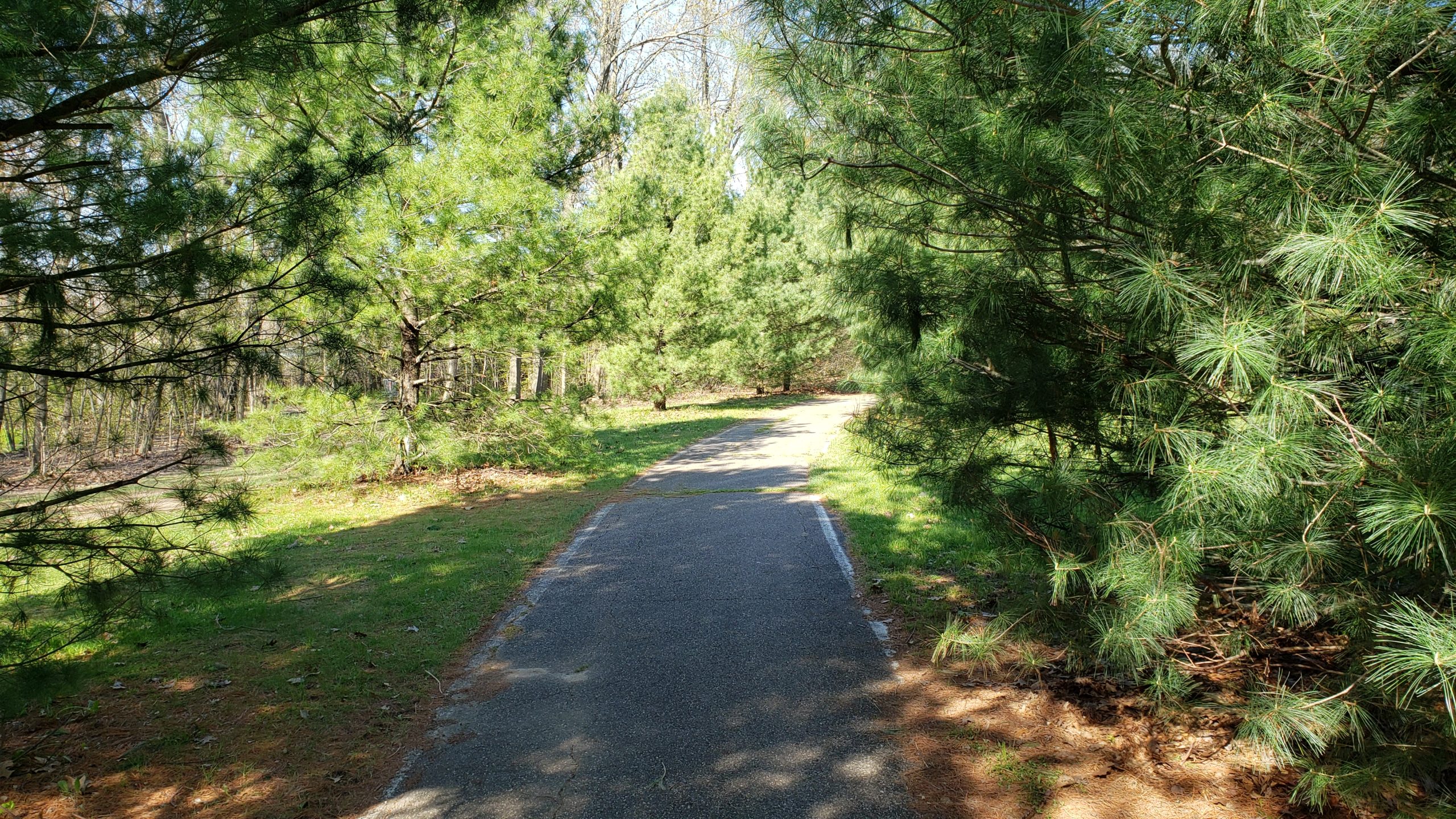 Vicksburg Recreation Area 5