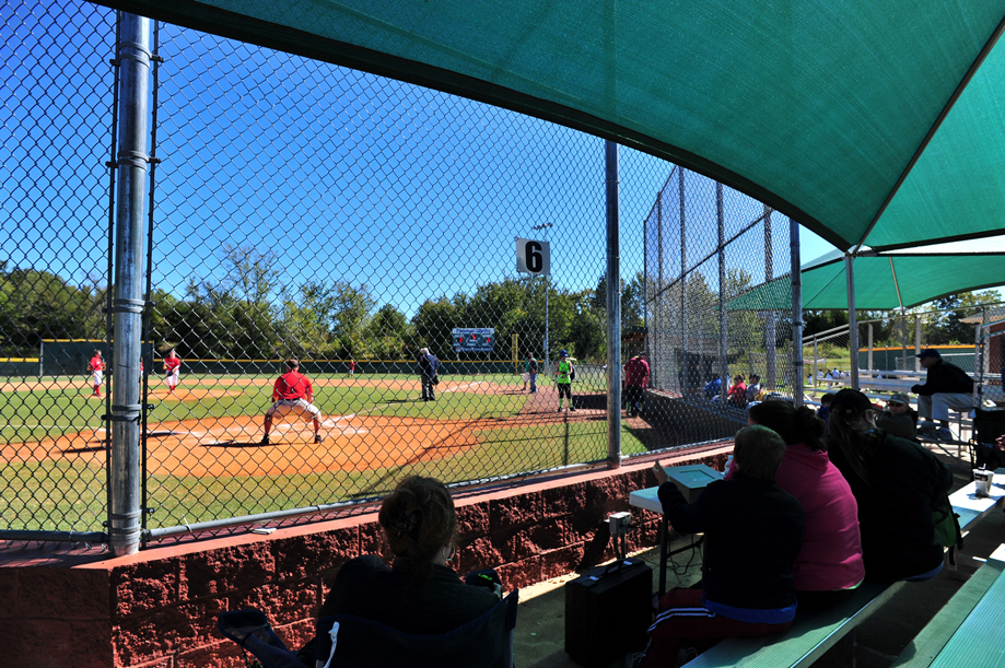 Play Ball at First Tennessee Fields  Andrea Zucker (1).jpg