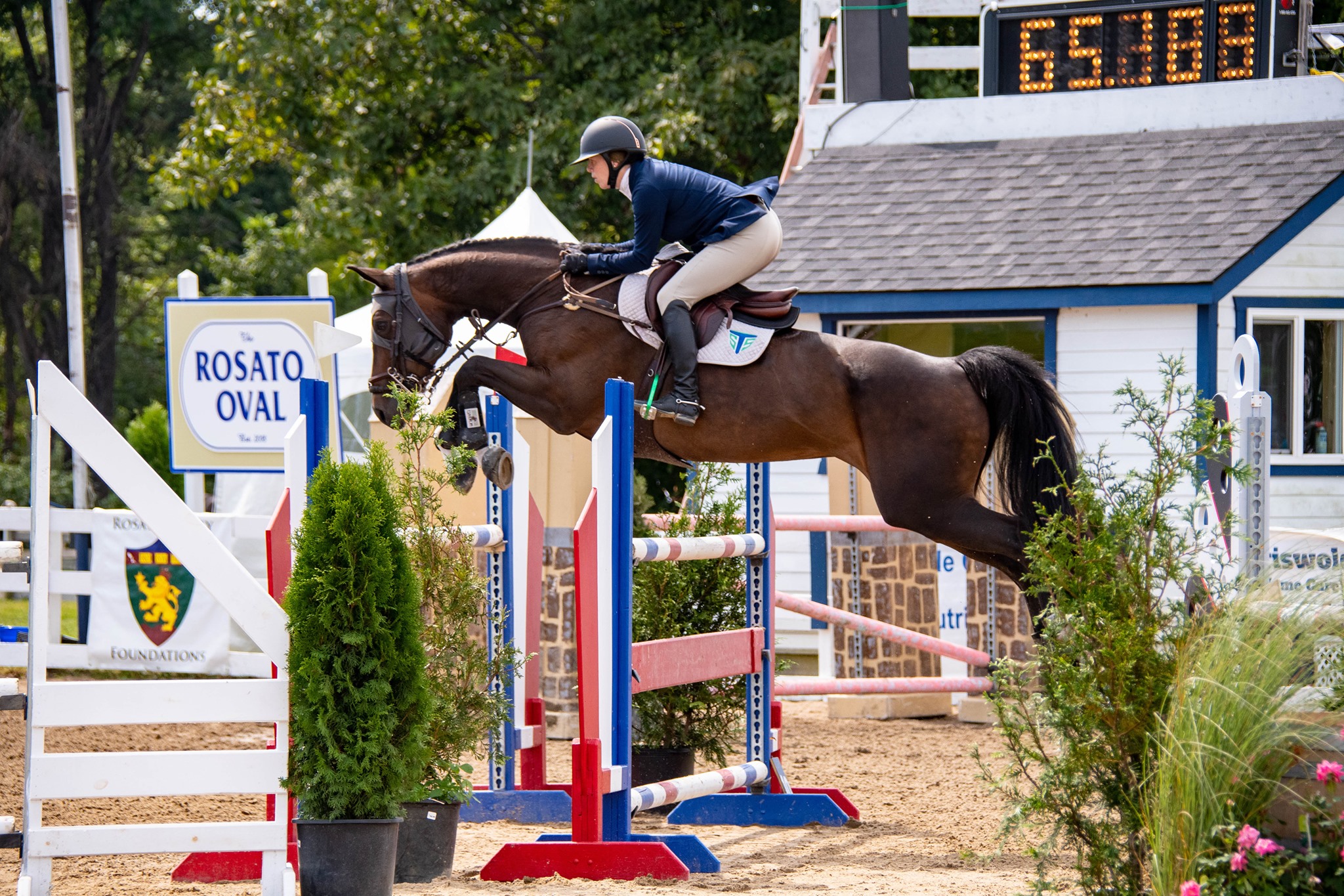 Ludwig's Corner Horse Show5