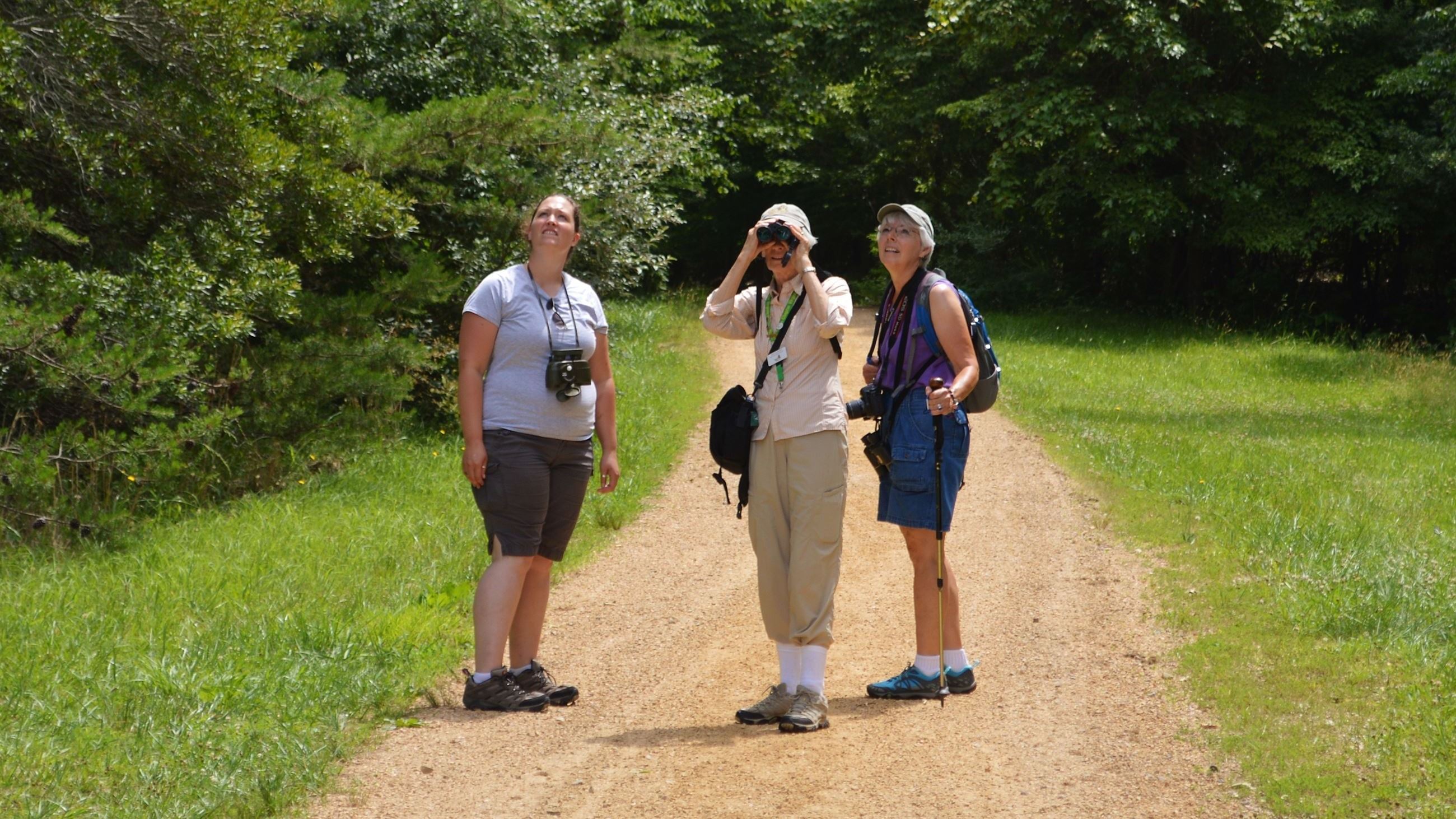 New Quarter Park - Cross country (7)