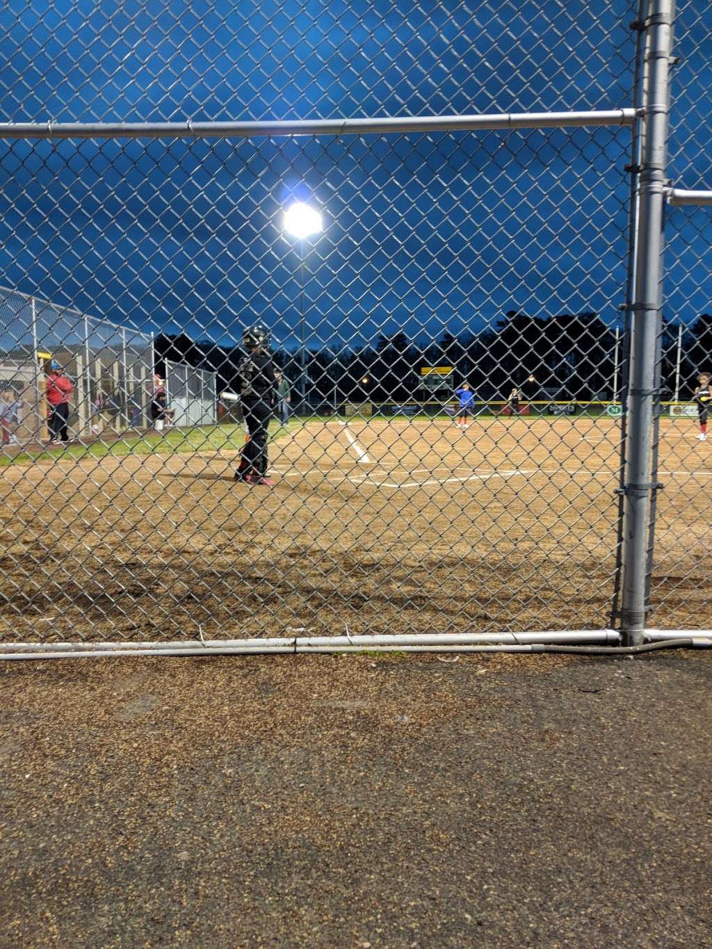 Pyle Center Softball Fields 3