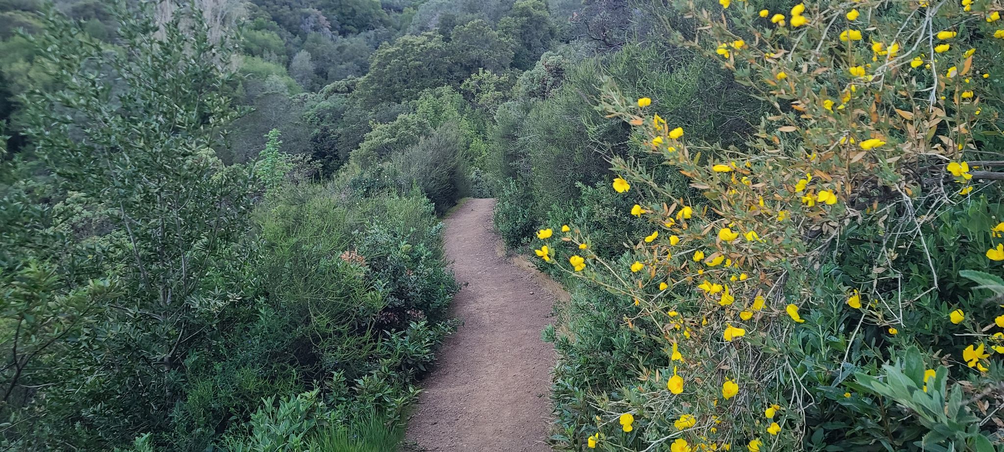 Mount Umunhum2