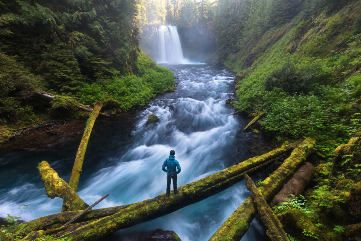 McKenzie River National Recreation Trail 5