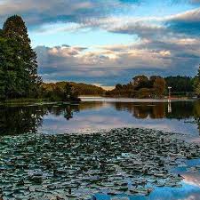 Centennial Park 2