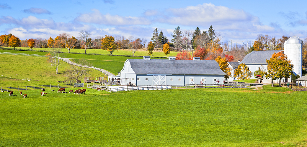 West Meadow Farm 5