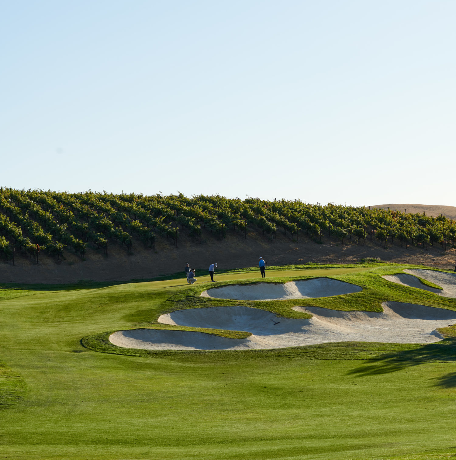 The Course at Wente Vineyards