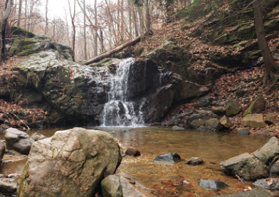 Patapsco Valley 5