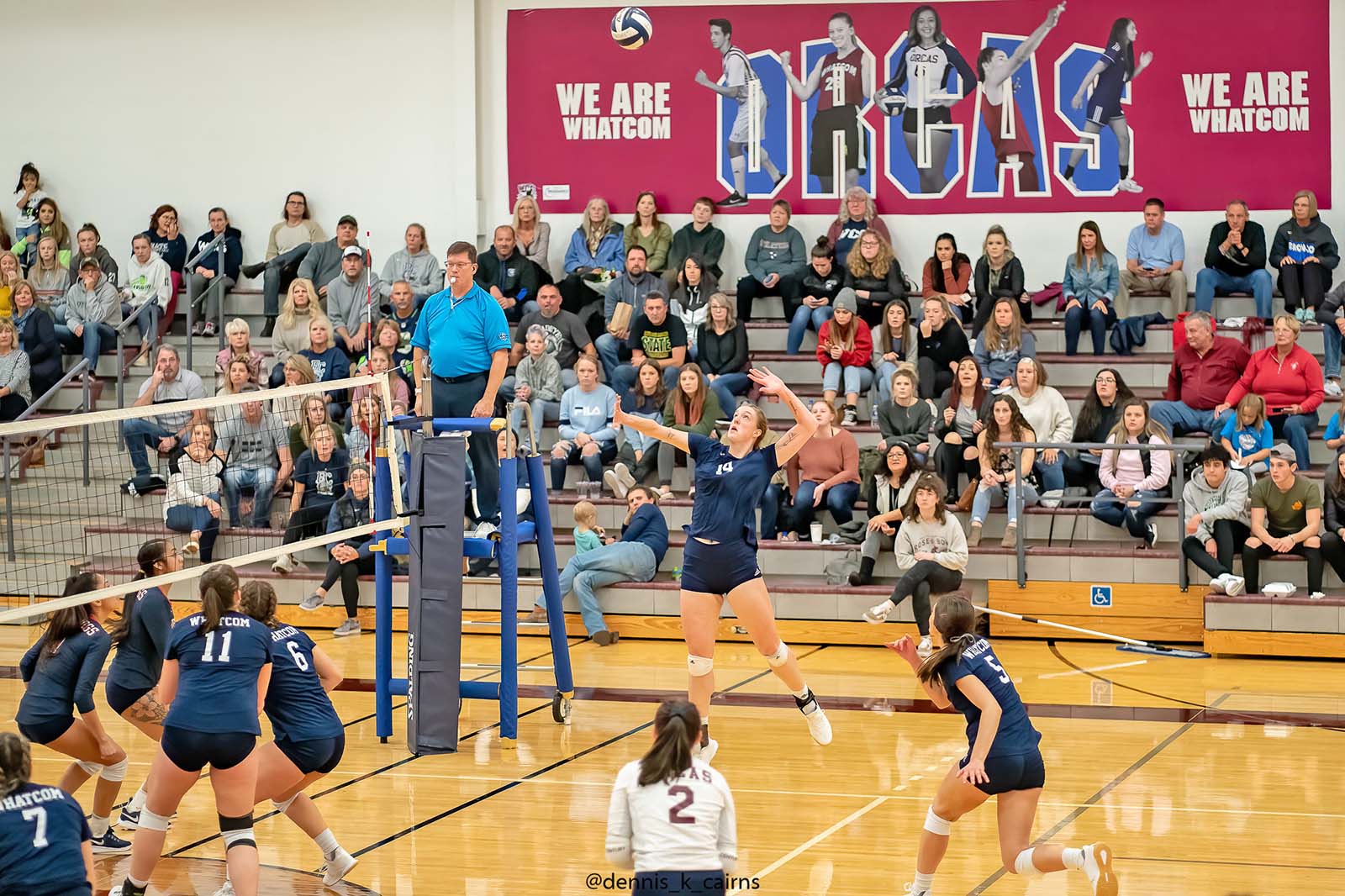 Orcas vball