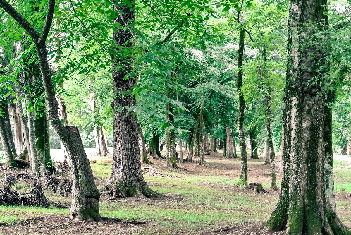 Orr Park 6
