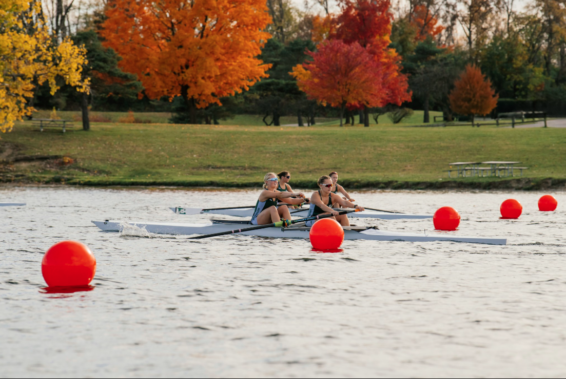 rowingfl3.png