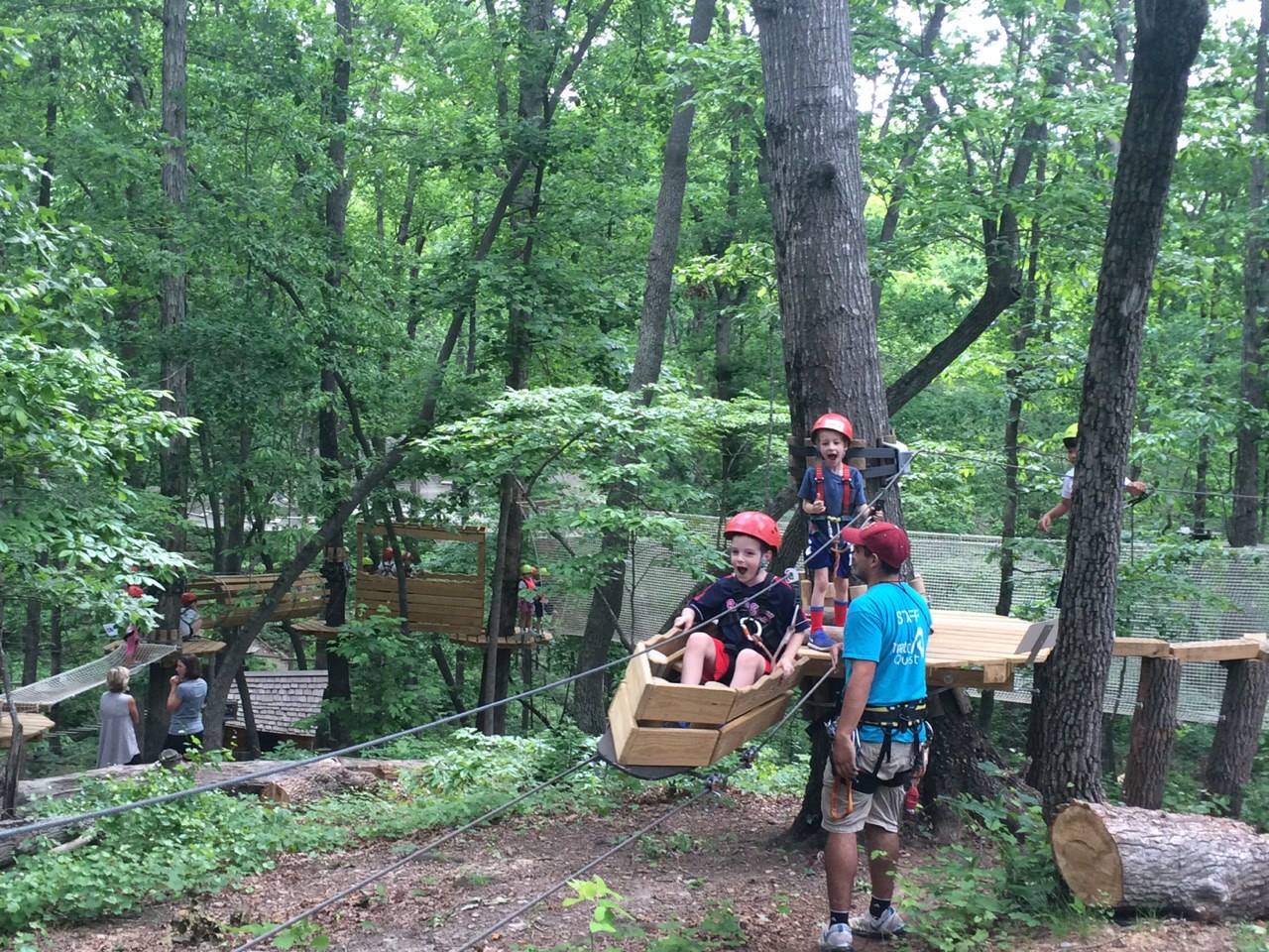 Treetop Quest2