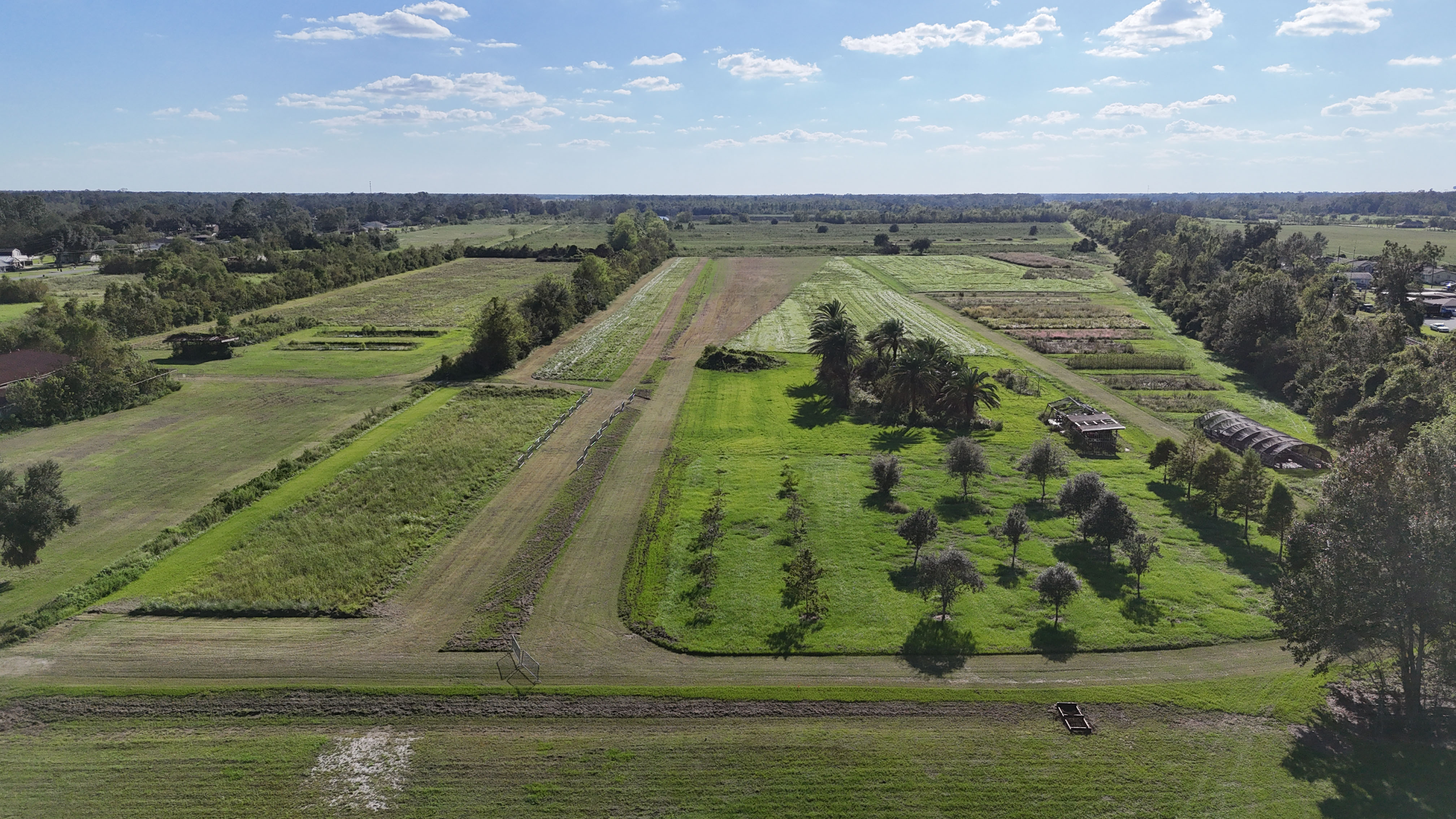 nicholls-xc-farm.jpg