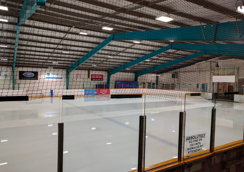 Lions Arena 3