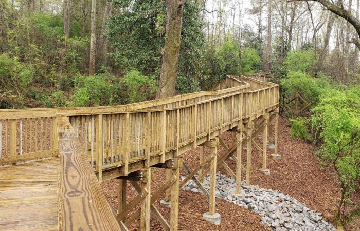 Tower Trail Hogansville2