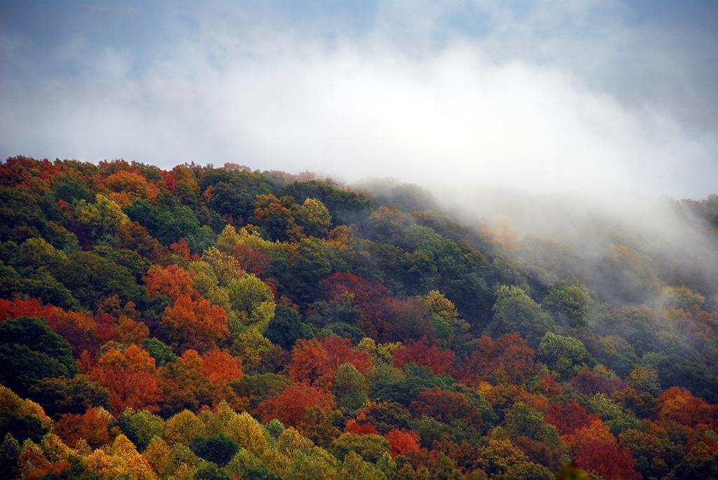 Monte Sano State Park2