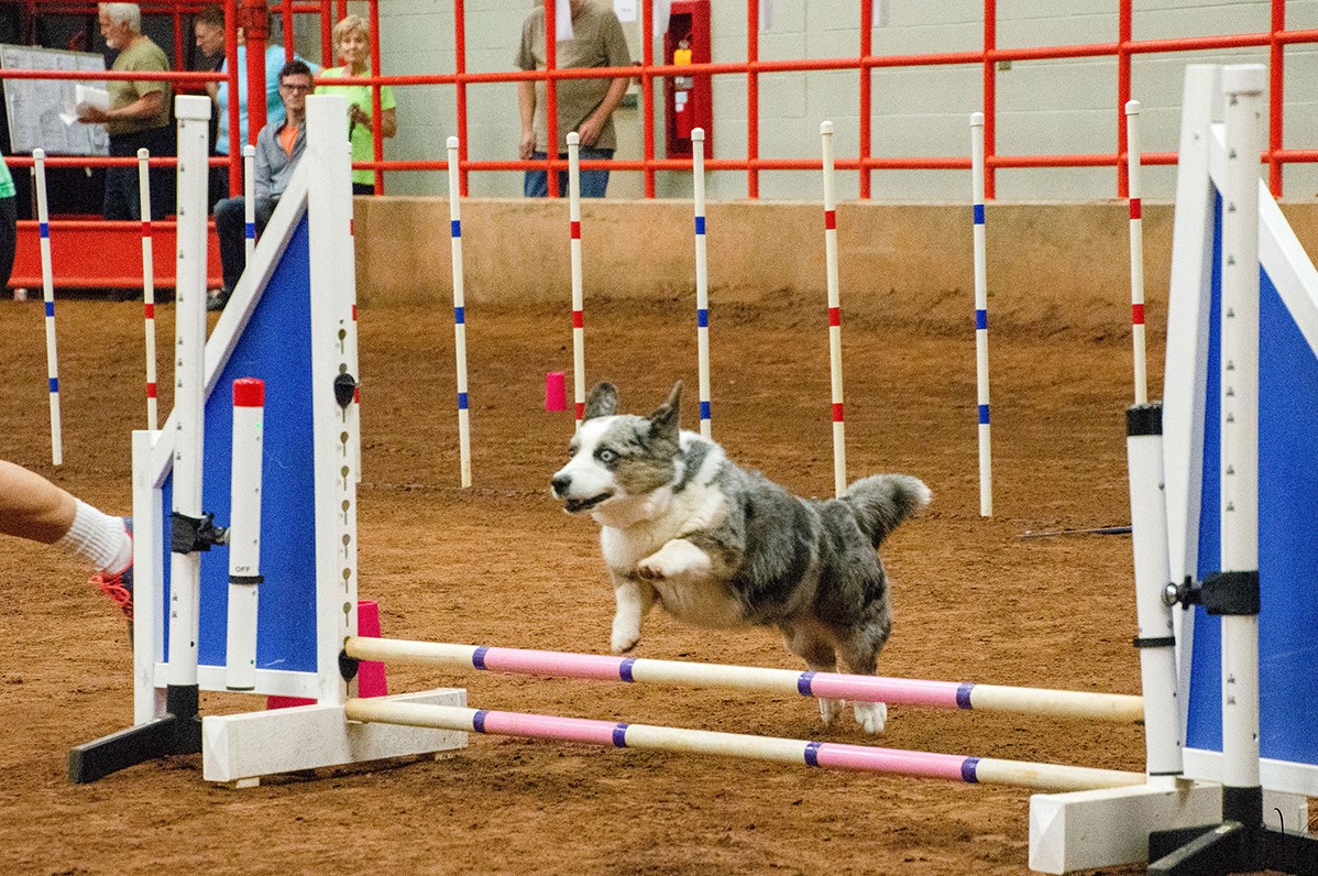 CTEC15