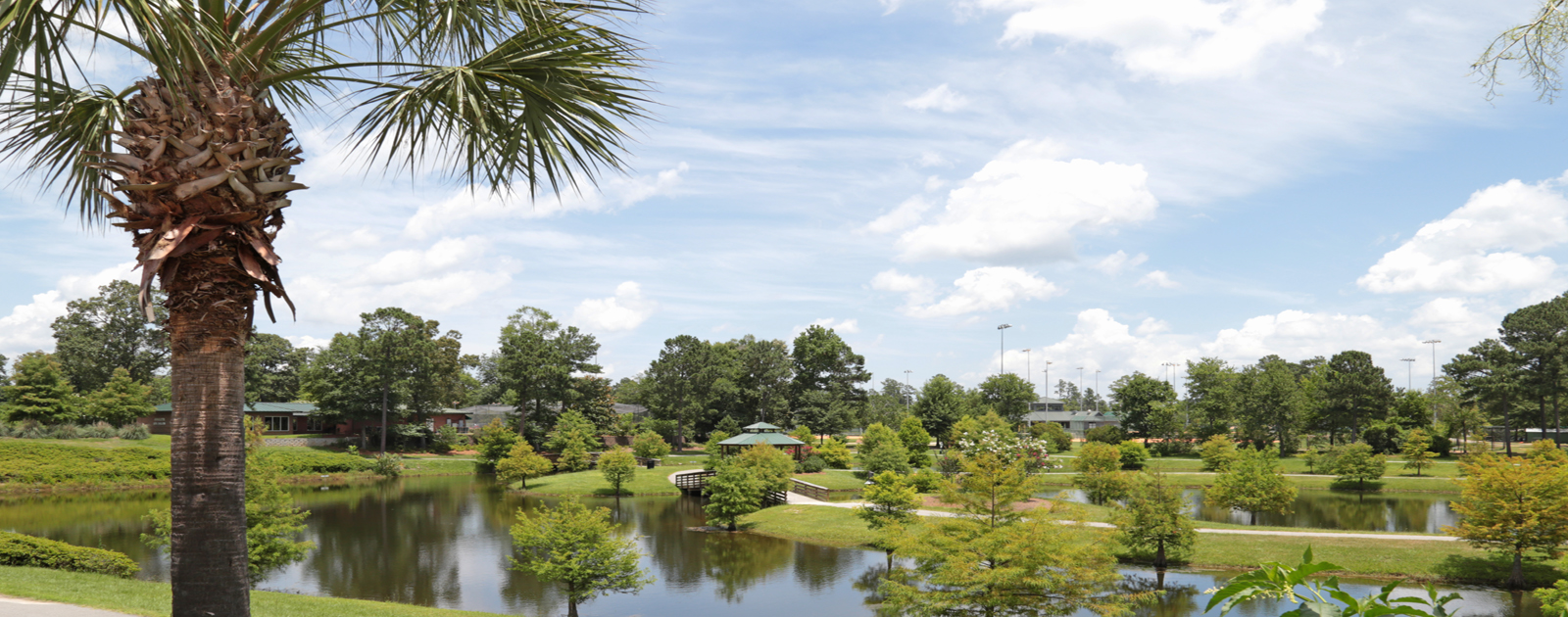 Palmetto Park8