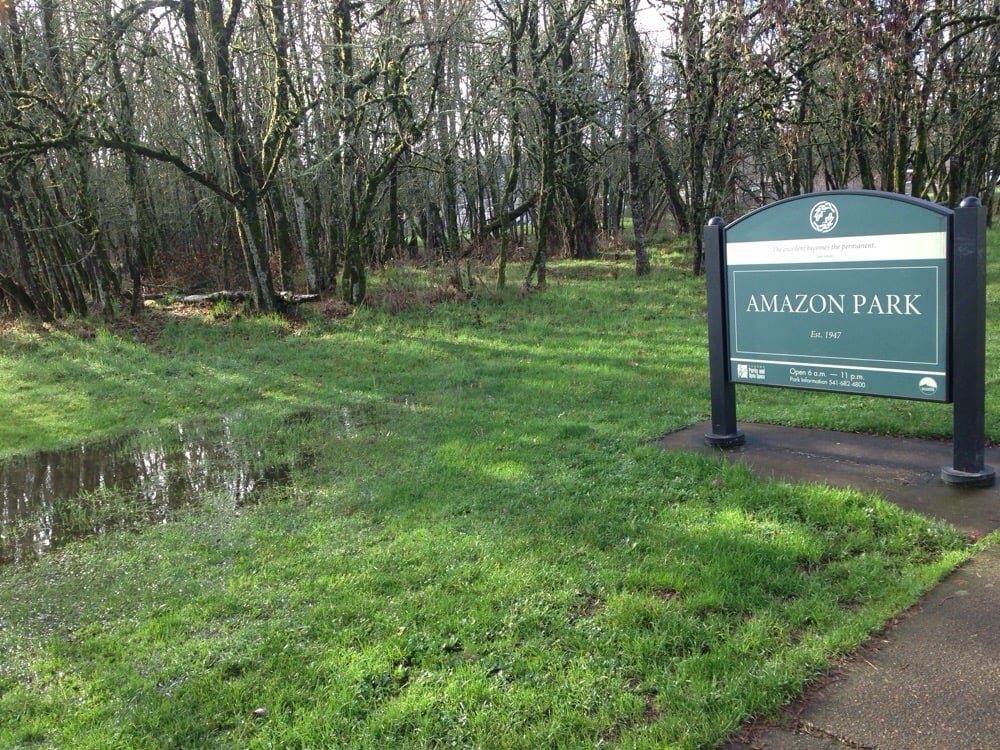 Amazon Park4