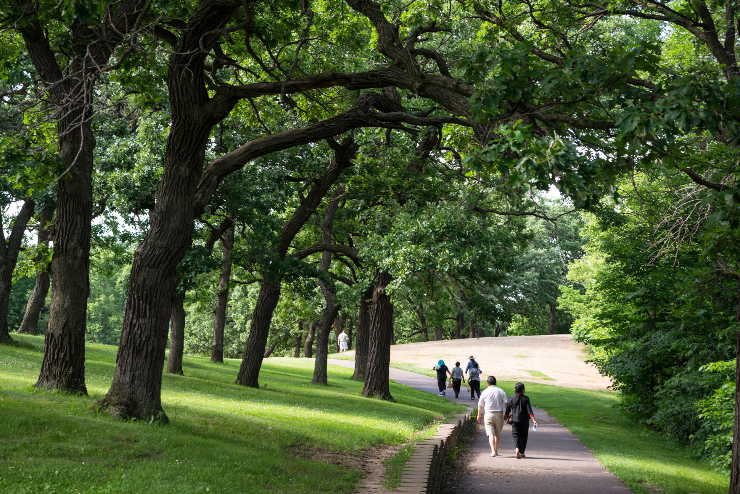 Phalen Regional Park6