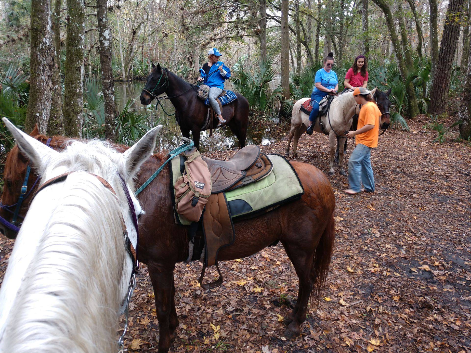Makin' Tracks Trail Rides6