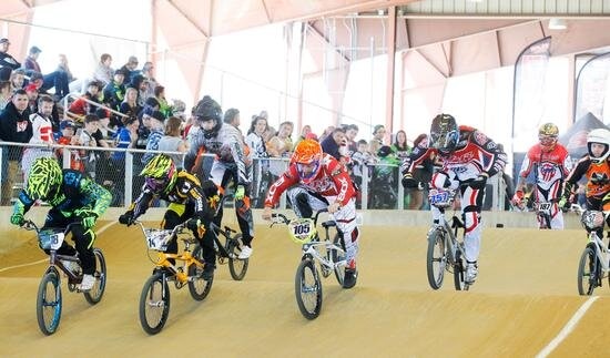 Desoto BMX6