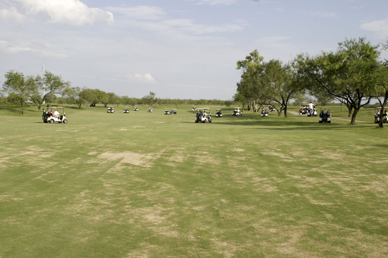 Palmview Golf Course 3