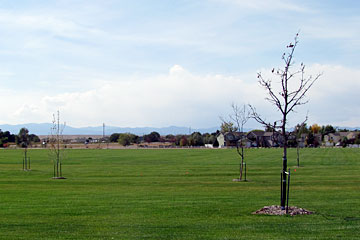 Lake Minnequa Veterans Memorial Park & Open Space park.jpeg