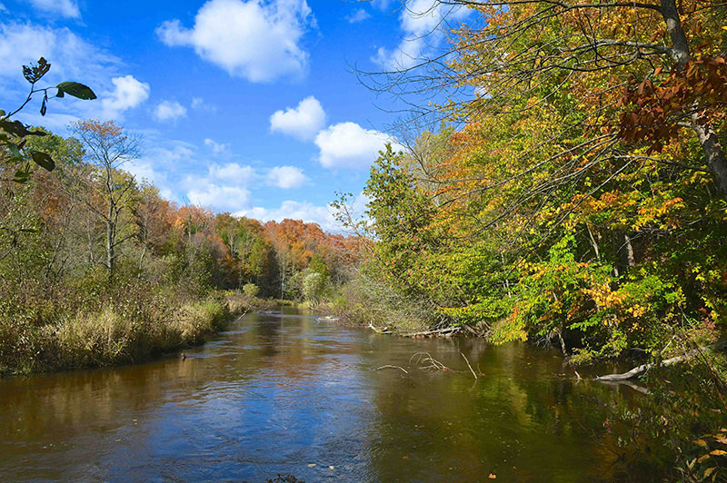 betsie river pathway 5