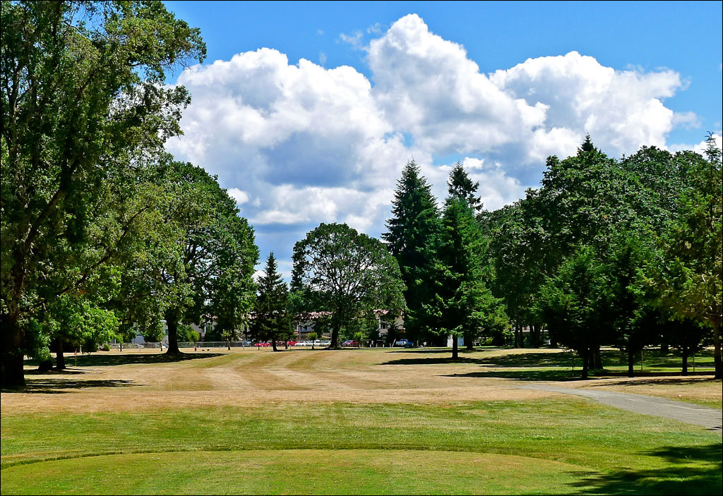 Fort Steilacoom Disc Golf Course