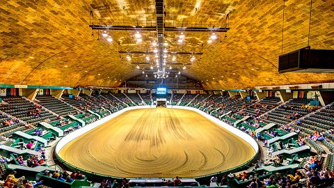 Fair 1
