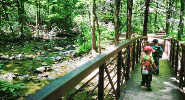 Jones Gap State Park 4