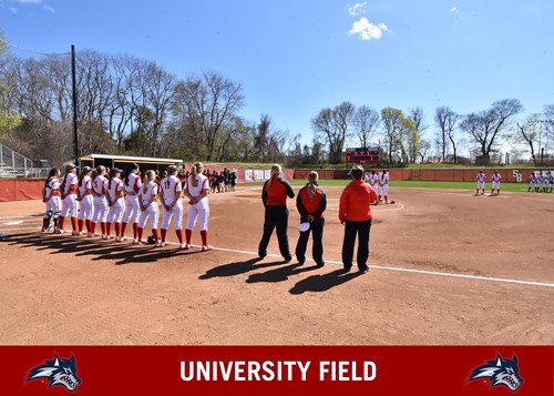 Stony brook softball