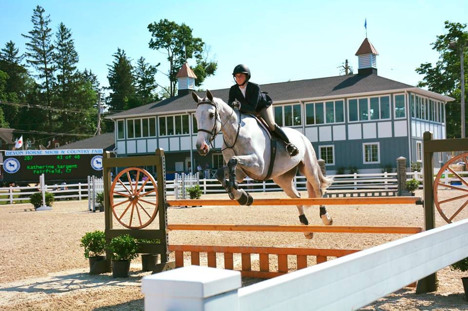 Devon Horse Show and Country Fair 1