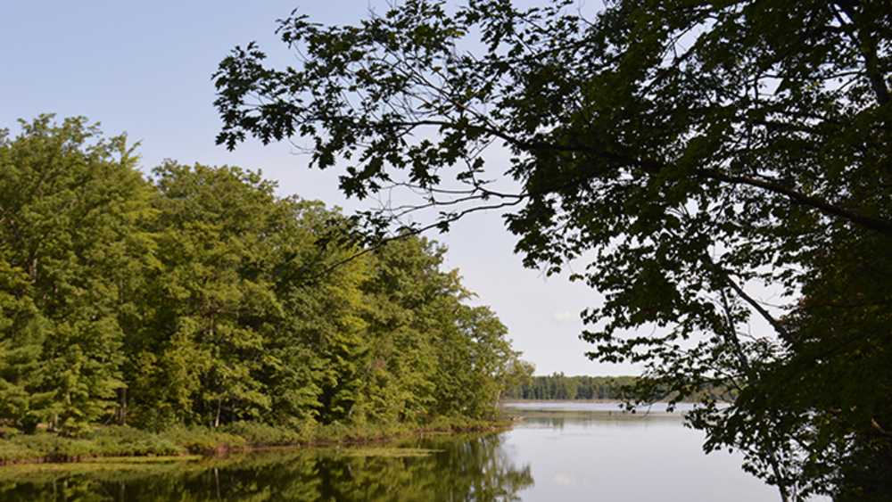 Lost Lake Pathway7